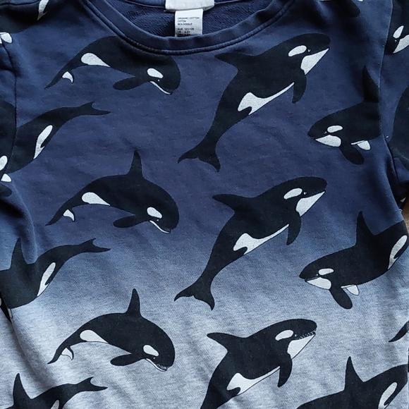 H&M orca sweatshirt 6-8 years - Picture 5 of 16